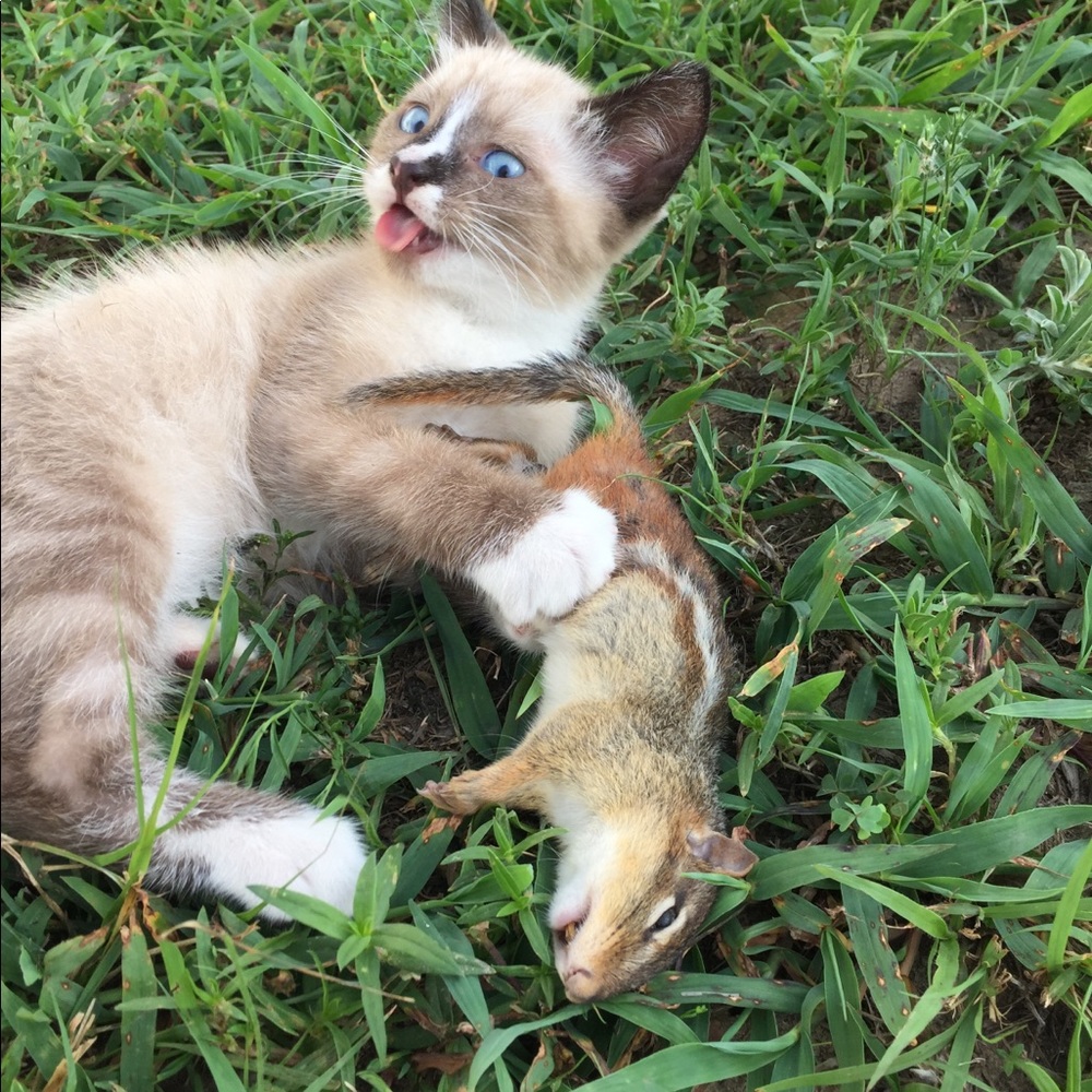 Meet your Posher, Justin